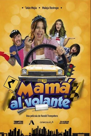 Poster 1 de Filme Mamãe ao Volante (2019)