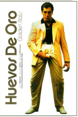 Poster 1 de Filme Ovos de Ouro (1993)