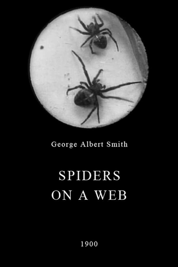 Poster de Curta Spiders on a Web (1900)