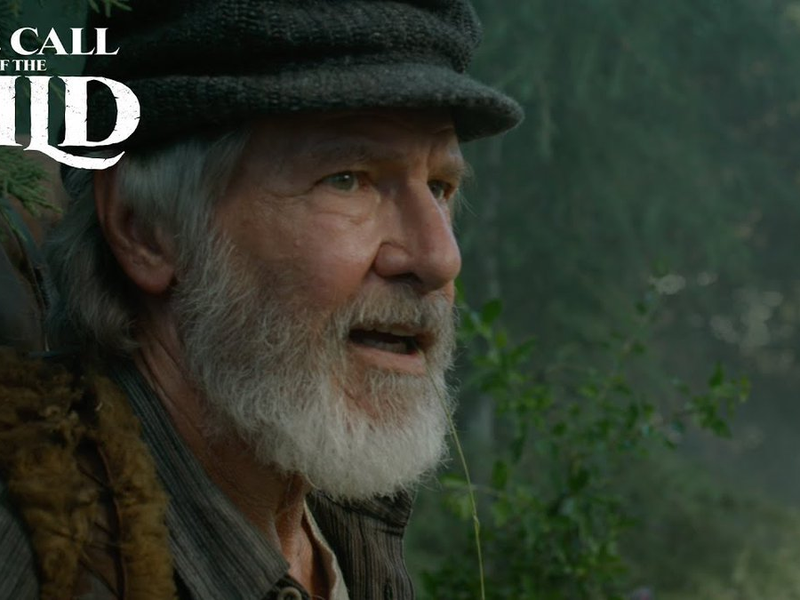 Foto 4 de O Chamado da Floresta