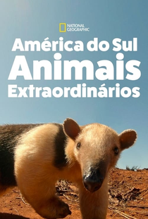 América do Sul: Animais Extraordinários - Poster / Capa / Cartaz - Oficial 1