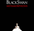 Black Swan: Metamorphosis