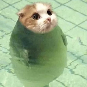 Foto de perfil de Laís