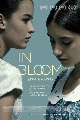 Poster 1 de Filme Na Flor da Idade (2013)