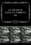 Le pêcheur dans le torrent