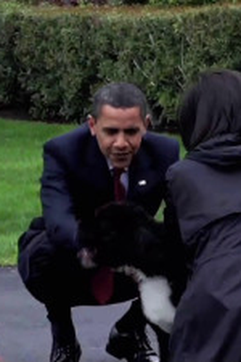 Poster de Episódio All the Presidents' Pets (2009)