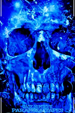 Paranoia Tapes 6: Live Feed (Paranoia Tapes 06:06:06)