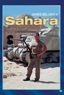 Sahara - Em Busca da Sobrevivência - Poster / Capa / Cartaz - Oficial 3