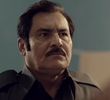 13 قسط 