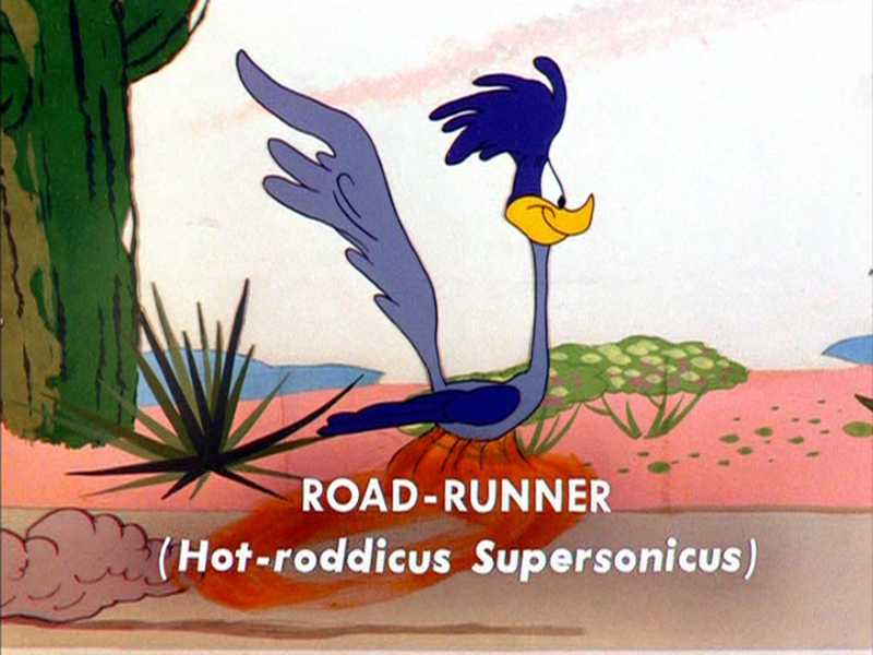 Foto 8 de Pare, Olhe e Dê o Fora