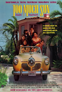 Os Loucos Casais da Califórnia - Poster / Capa / Cartaz - Oficial 1