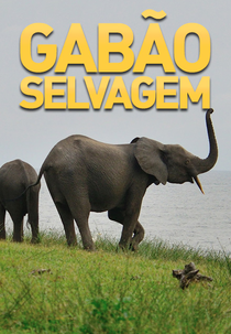 Gabão Selvagem (Gabão Selvagem)