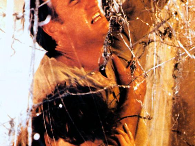 Foto 14 de Poltergeist 2: O Outro Lado