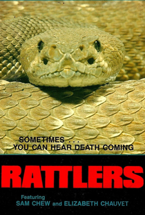 O Ataque das Cobras - Poster / Capa / Cartaz - Oficial 1