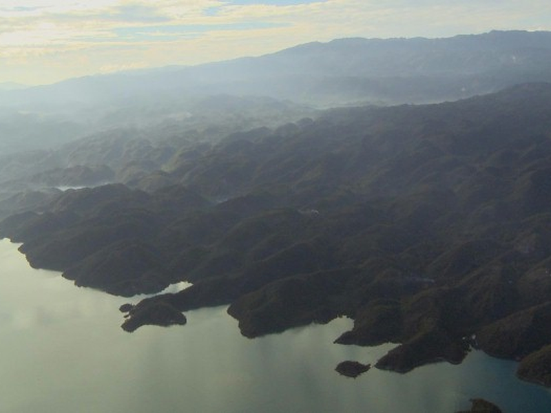 Foto 5 de Assistance Mortelle