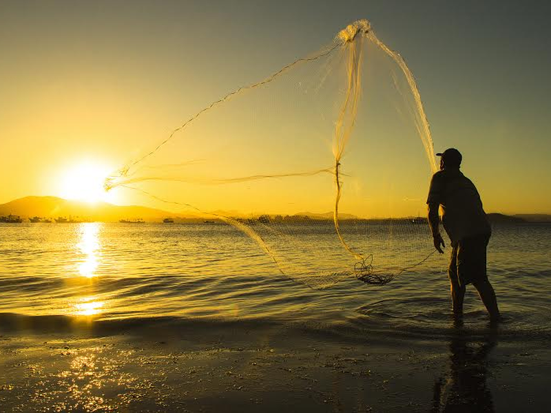 Foto 3 de Na Direção do Som