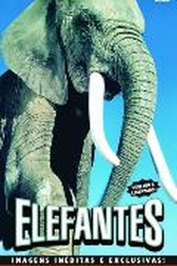 Poster de Filme Elefantes (2015)