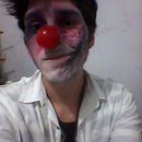 Foto de perfil de P. marcidus