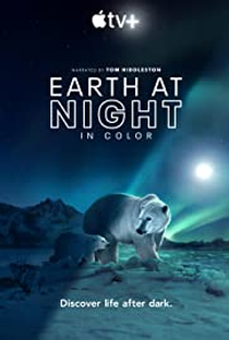 Noite na Terra em cores - Segunda Temporada - Poster / Capa / Cartaz - Oficial 2