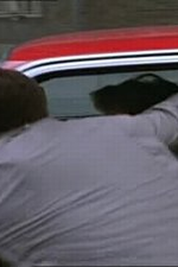Poster de Episódio Bump and Run (1985)