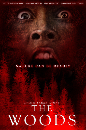 Poster de Filme The Woods (2024)