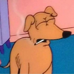 Foto de perfil de Vitor Álvares