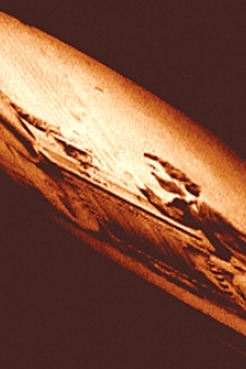 Poster de Curta Militância (2002)