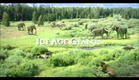 Ice Age Giants Trailer & Behind The Scenes