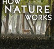 Como a natureza funciona