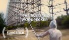 The Russian Woodpecker - Teaser