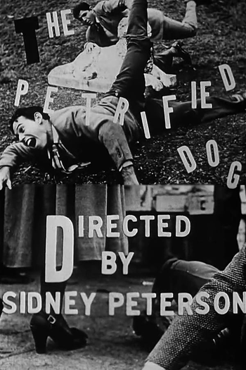 Poster de Curta The Petrified Dog (1948)
