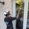 Top Home Window Cleaning Toron