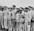 Holocausto: Execução do Mal
