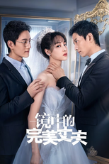 镜中的完美丈夫 (镜中的完美丈夫)