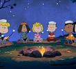 Campfire Yarns