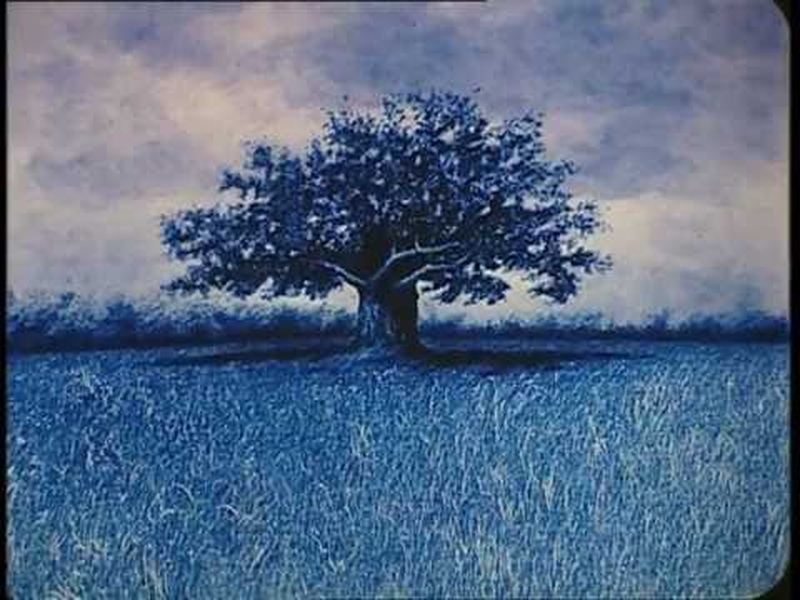 Foto 2 de Gravitação