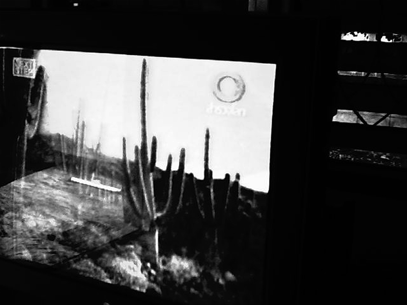 Foto 3 de Cactus River 