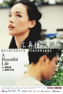 A Beautiful Life - Poster / Capa / Cartaz - Oficial 2