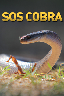SOS Cobra - Poster / Capa / Cartaz - Oficial 1