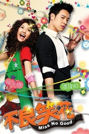 Poster de Série Miss No Good  (2008)