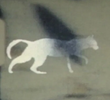 cat-e-gory