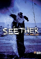Seether Feat. Amy Lee: Broken