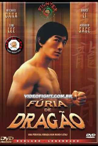 Poster 4 de Filme Fúria de Dragão (1978)