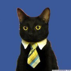 Foto de perfil de Marcos Fortes