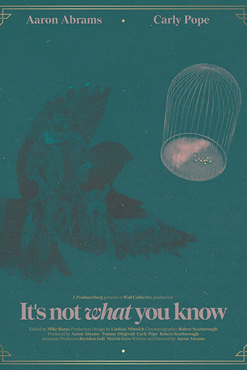 Poster de Curta It’s Not What You Know (2016)