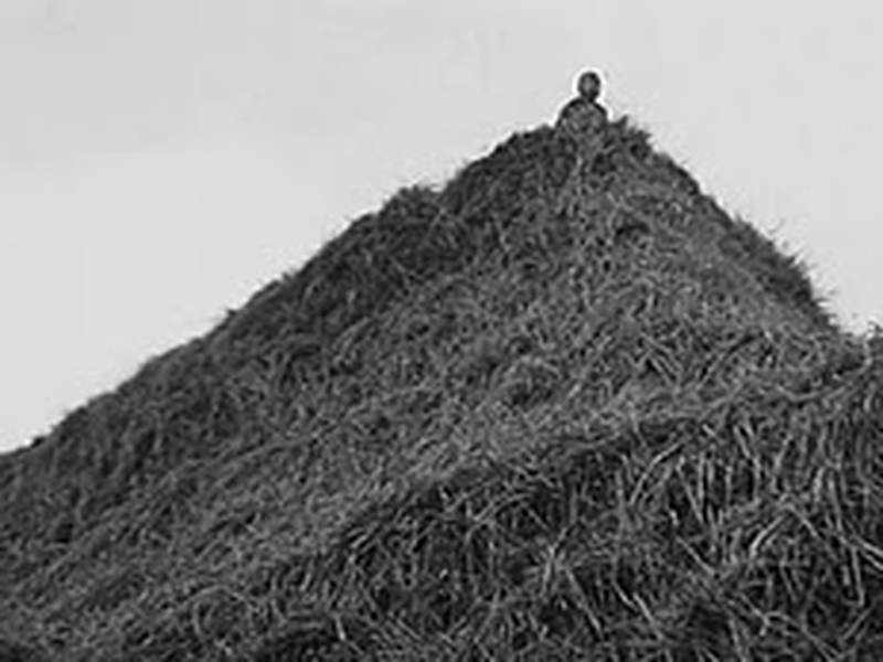 Foto 3 de Viva a República