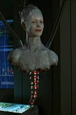 O Coletivo Borg: A Rainha (The Borg Collective: The Queen)