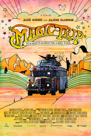 Poster 1 de Filme Viagem Mágica (2011)