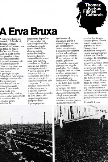 Poster de Curta Erva Bruxa (1972)