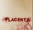 Placenta